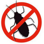 Insekten Insekten