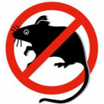 Ratten, Mäuse Ratten, Mäuse