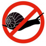Schnecken Schnecken