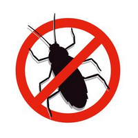 Insekten Insekten